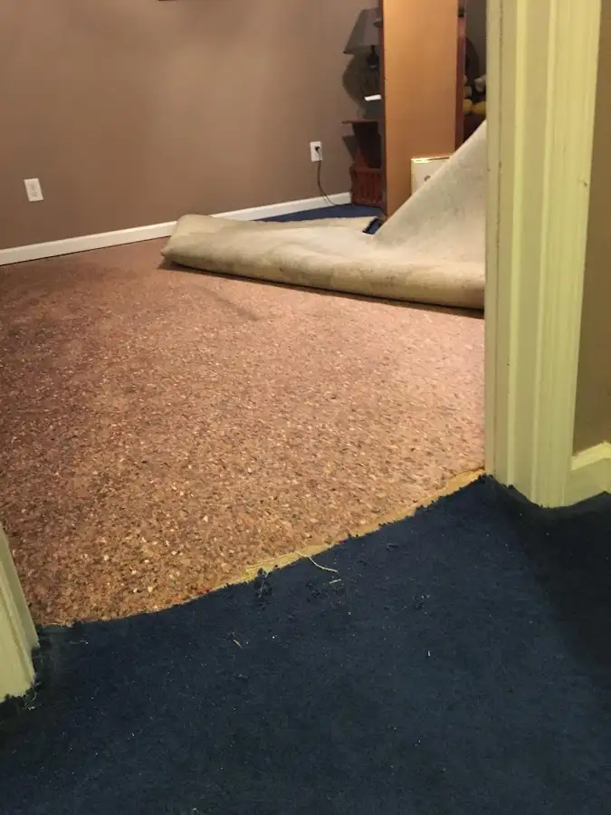 Carpet pad removal revealing water damage during Drying & Dehumidification in Northbrook